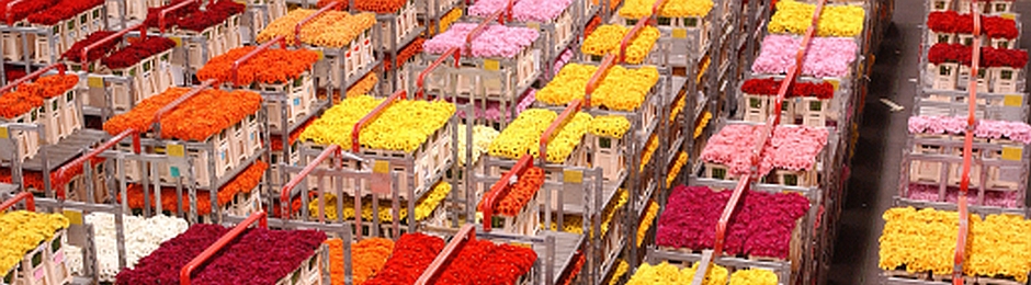 Flower Trolleys 